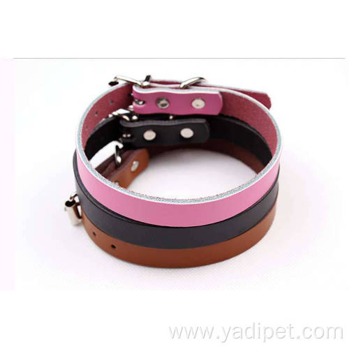 teddy poodle small wholesale pet dog collar